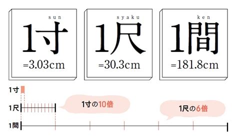 尺 寸 分